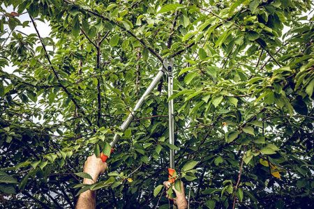 4c8dcdc662f10051e6d16c688dcca9a2_big