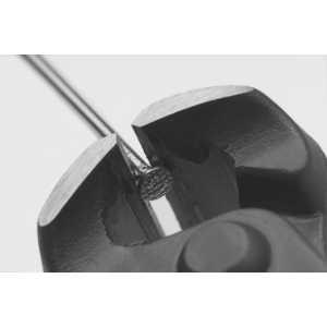 8ae6ee6277881db94d7a72c81ab3df0c_big