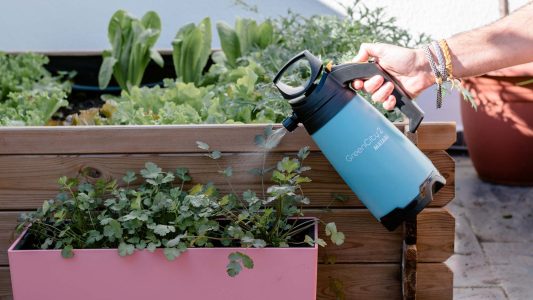 91e5354ce5964fb0a778650f677313b8_big