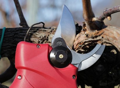 9797de6631336571bb56552dd56f3084_big