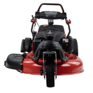 benzinova-kosacka-big-wheeler-5542-r-trike