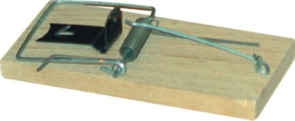 Pasca na myši drevená