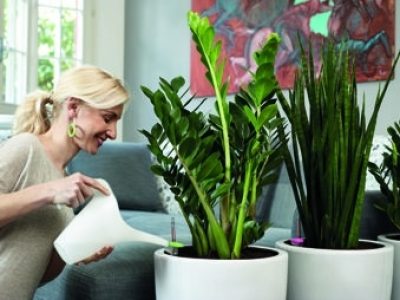 big_172009681752a832d98b3612.42582161