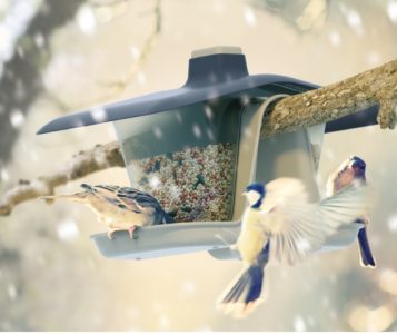 big_226406805bf5665f64bac1.77157369