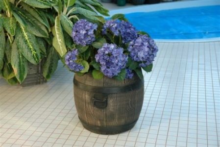 big_42911210553f6fbeb1d1e47.00688341