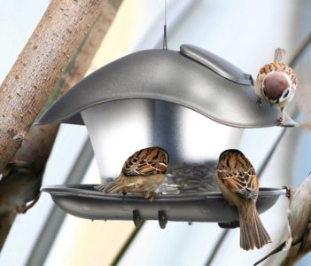 big_725423615fa3be984f9f28.16589069