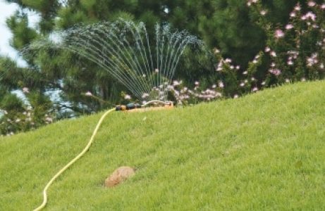 big_84612669652a7070d9a1778.51504950