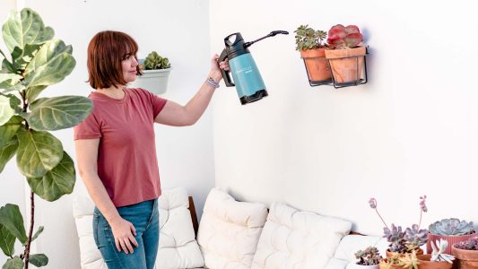 d5e604e64e16bb43343f584d7dd64a23_big