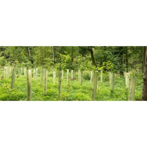 motorovy-zemny-vrtak-ge-14501