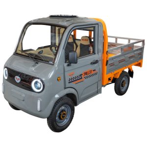 ruris-limit-pilot-5000g-e-cargo-sede