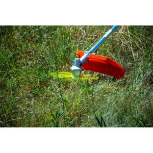 zacia-hlava-profesional-cistiaca