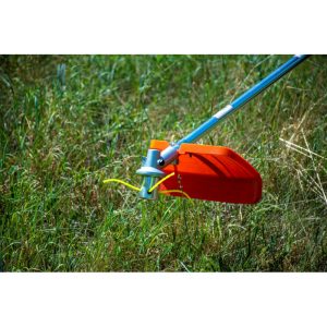 zacia-hlava-profesional-cistiaca