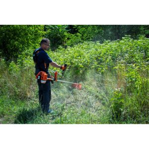 zacia-hlava-profesional-cistiaca